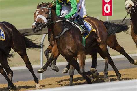 racing non runners today|horse racing meetings cancelled today.